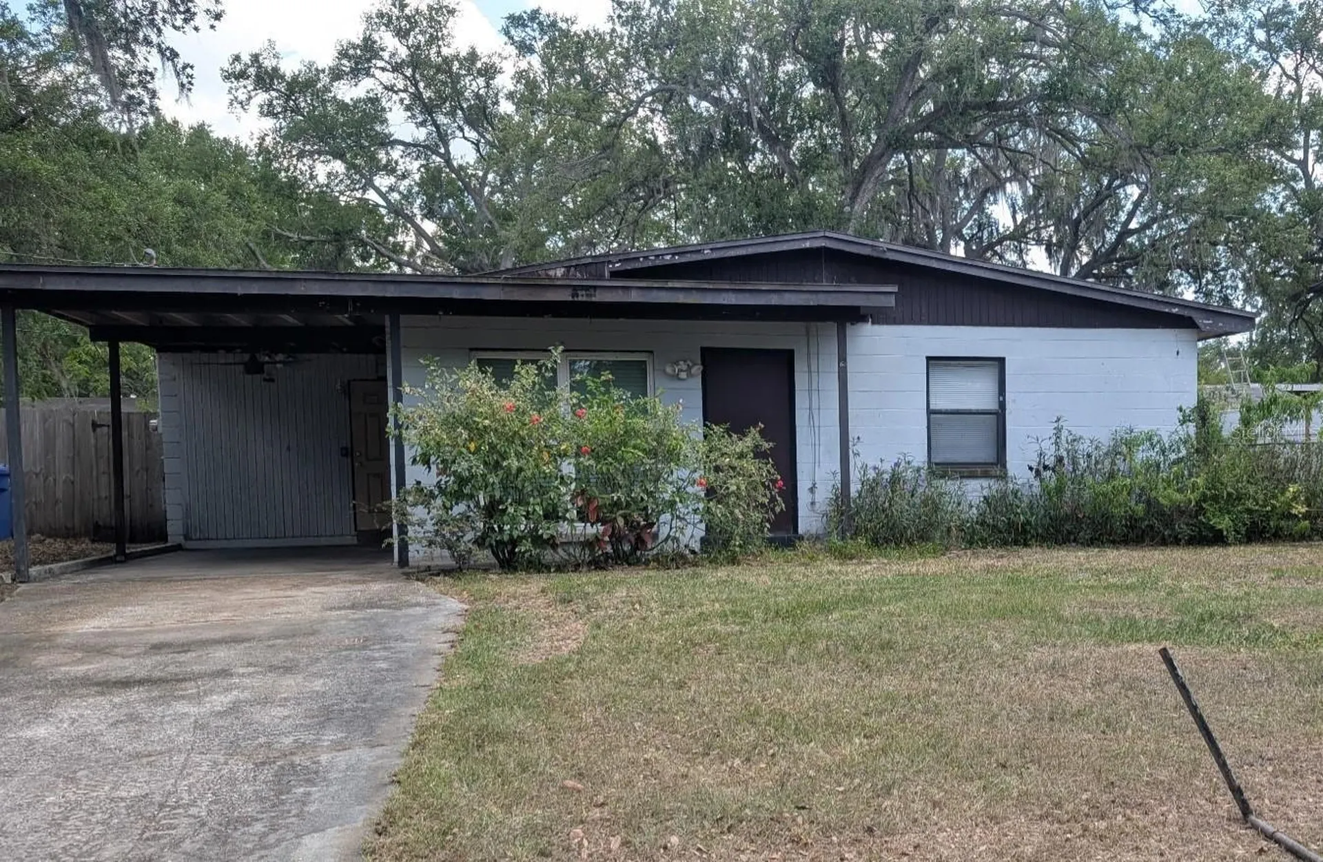 7503 Coral Vine Lane Tampa FL 33619