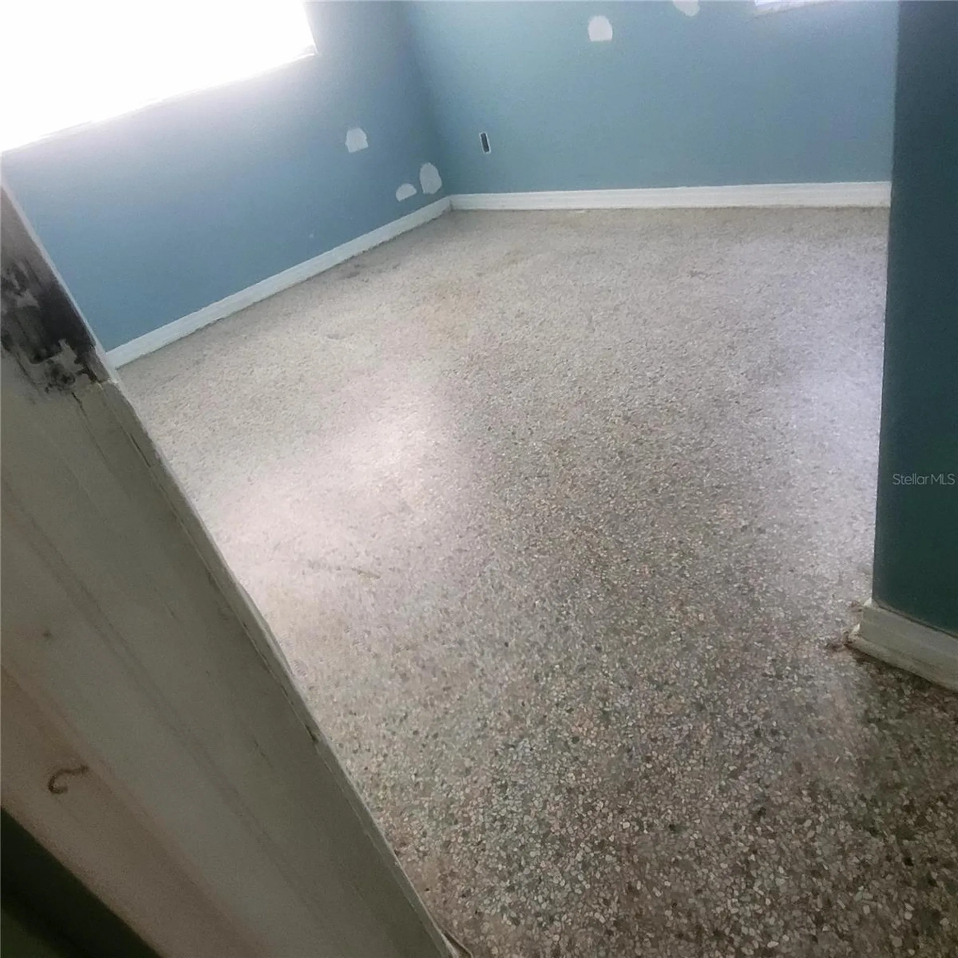 7503 Coral Vine Lane Tampa FL 33619