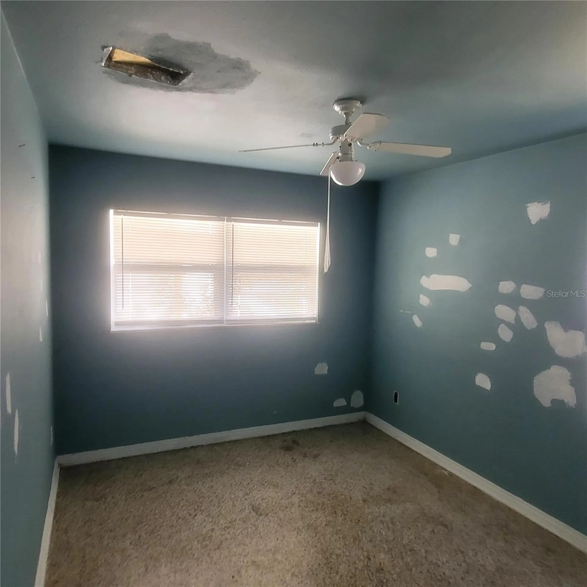 7503 Coral Vine Lane Tampa FL 33619