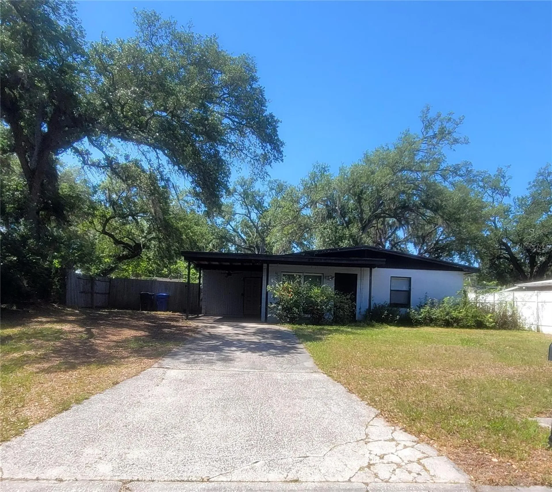 7503 Coral Vine Lane Tampa FL 33619