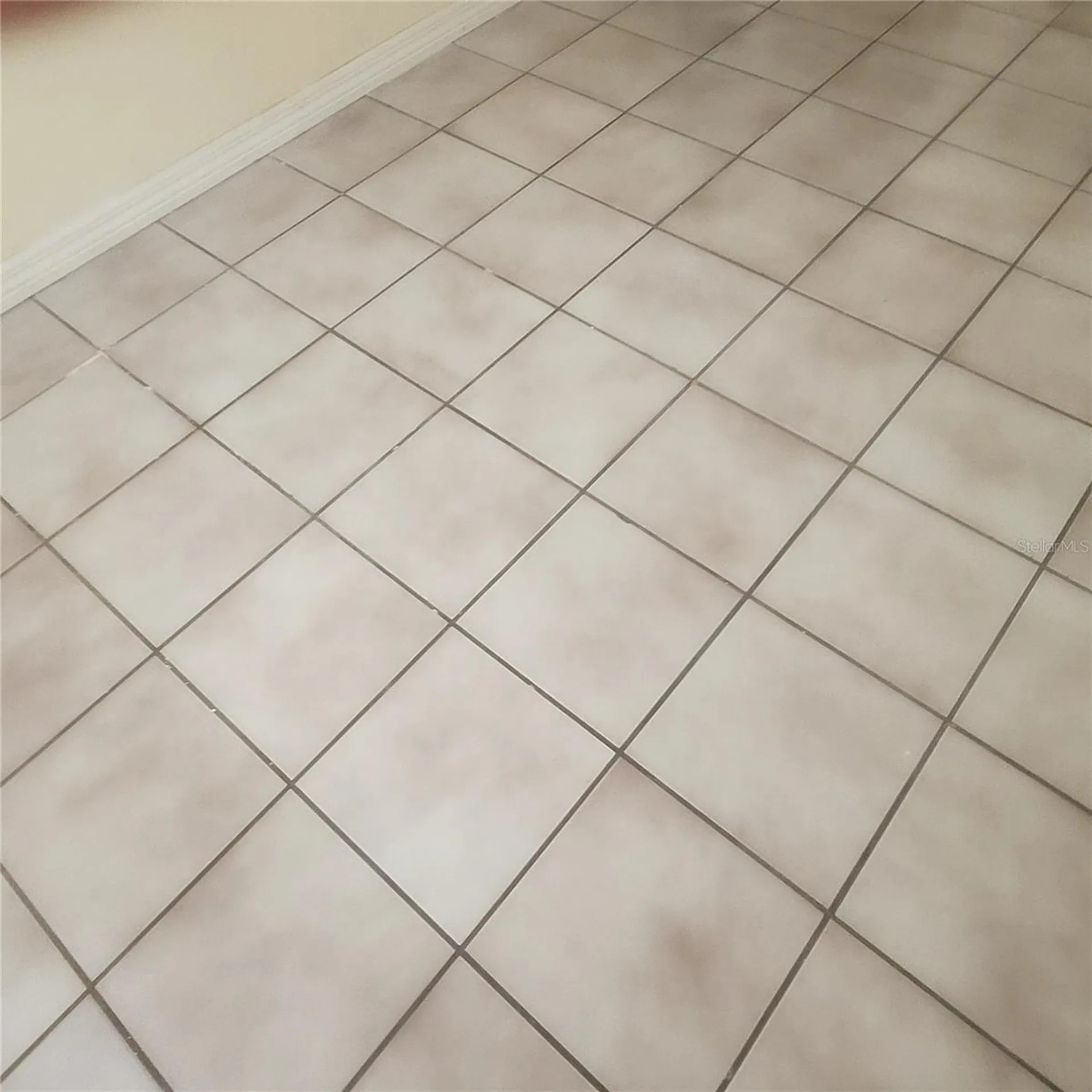 7503 Coral Vine Lane Tampa FL 33619