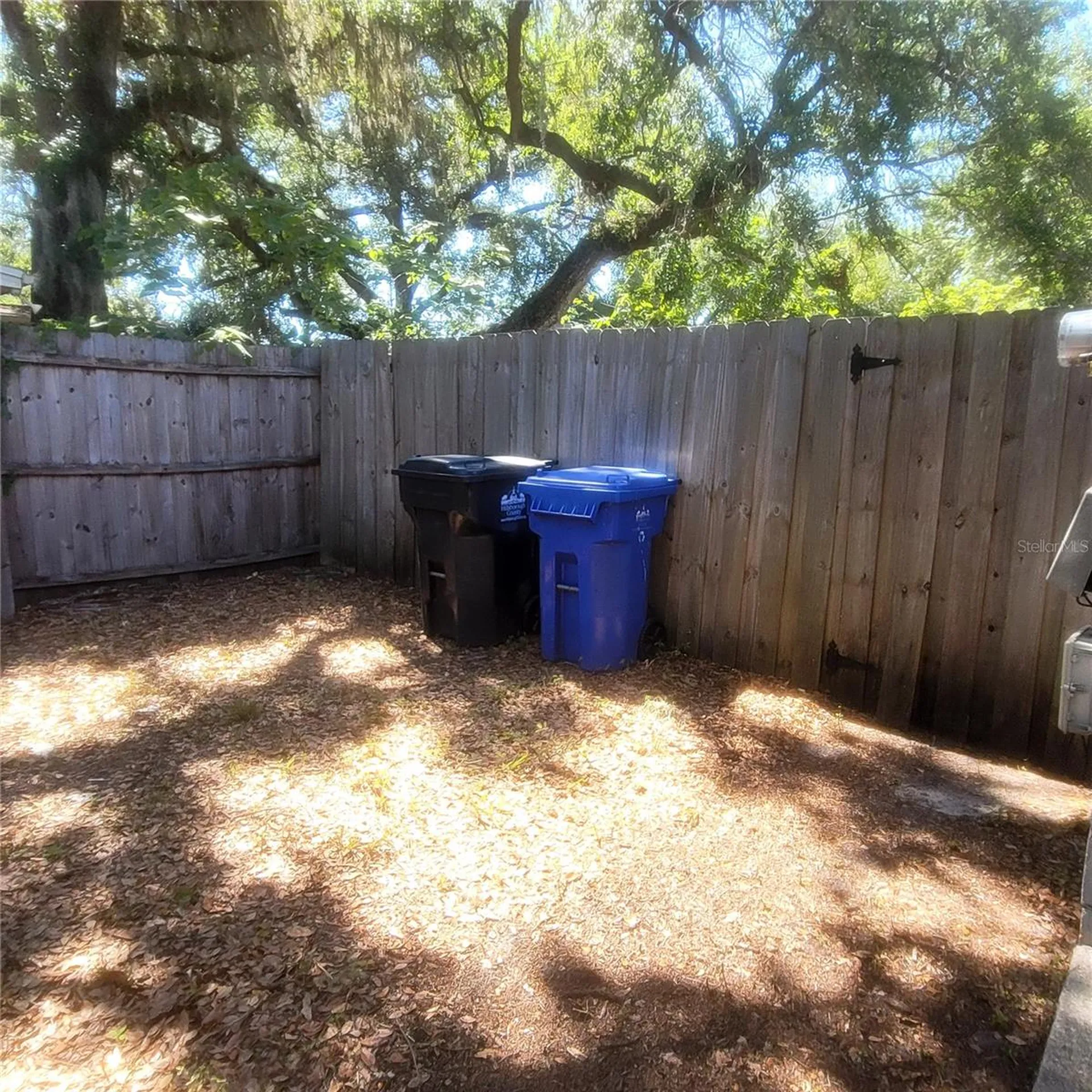 7503 Coral Vine Lane Tampa FL 33619