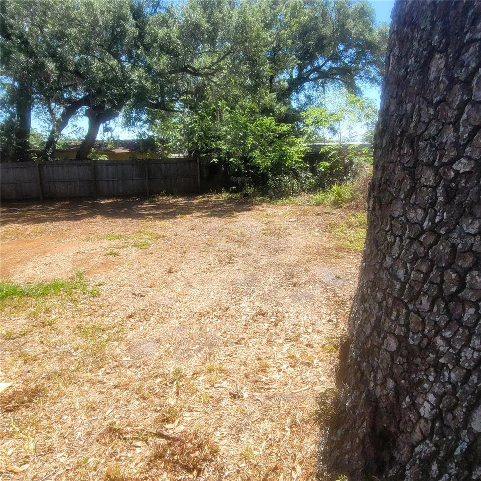7503 Coral Vine Lane Tampa FL 33619
