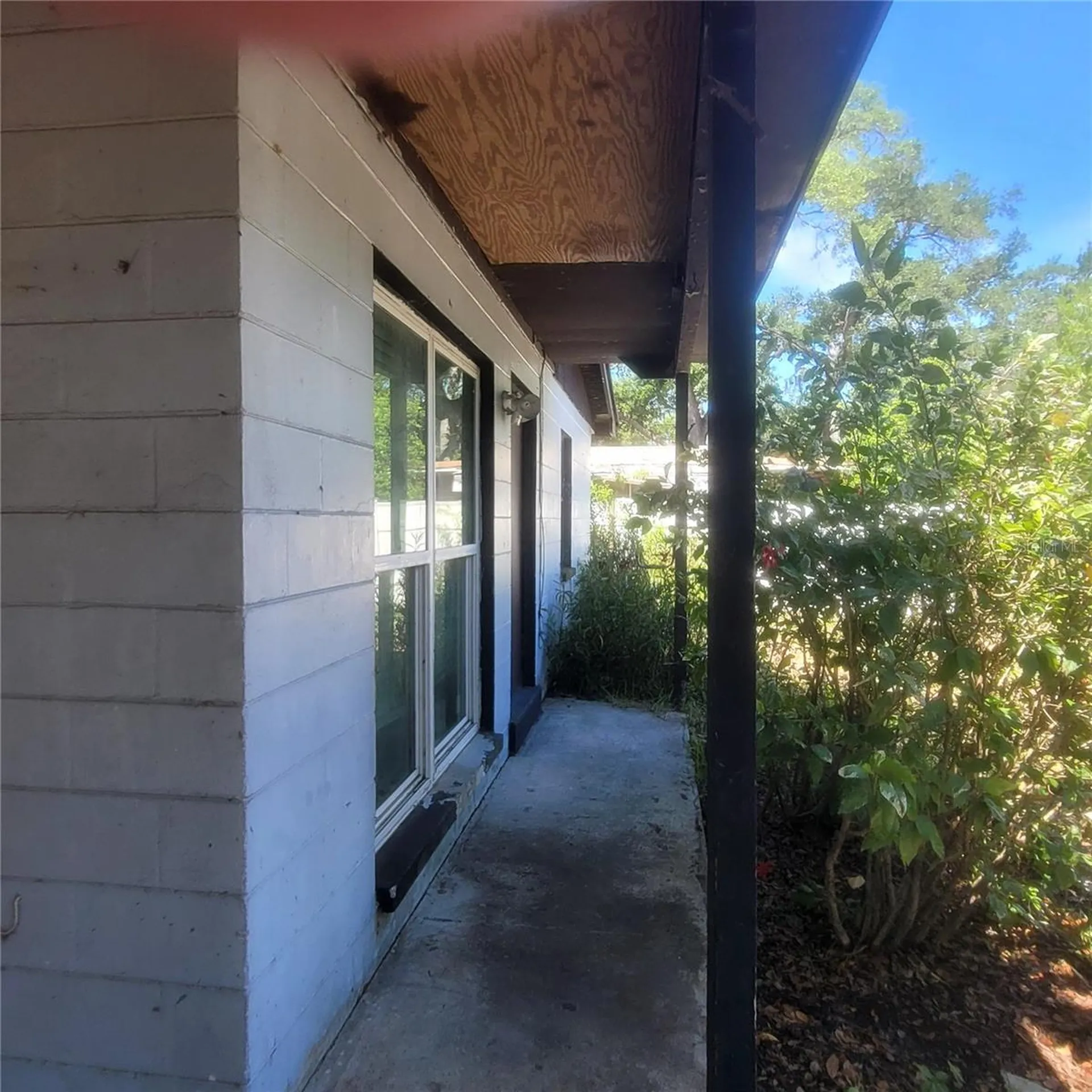 7503 Coral Vine Lane Tampa FL 33619