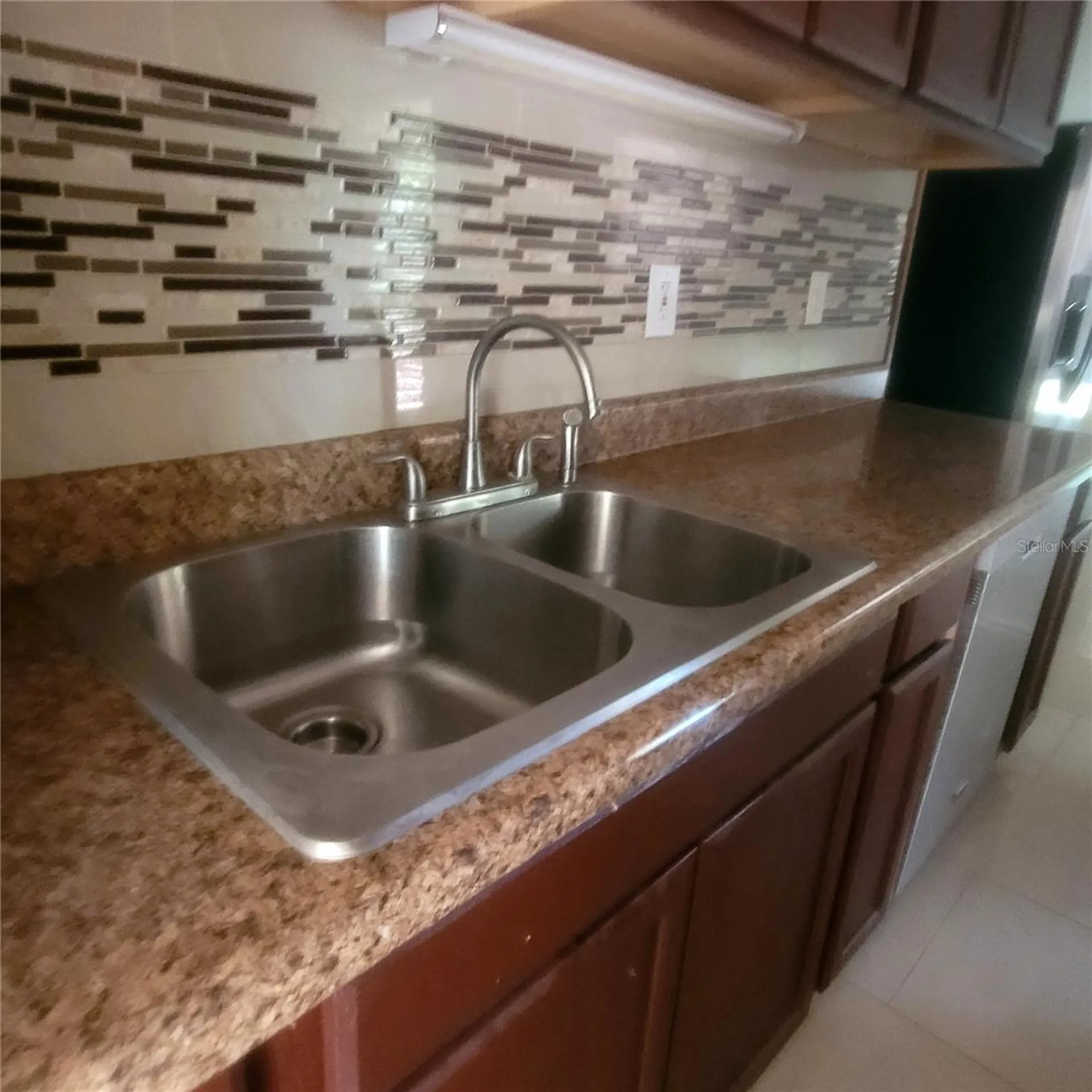 7503 Coral Vine Lane Tampa FL 33619