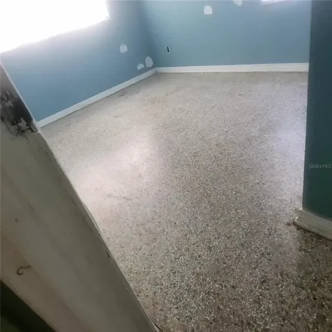 7503 Coral Vine Lane Tampa FL 33619
