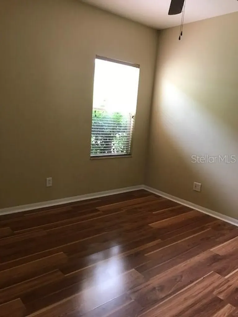 17911 Timber View Street Tampa FL 33647