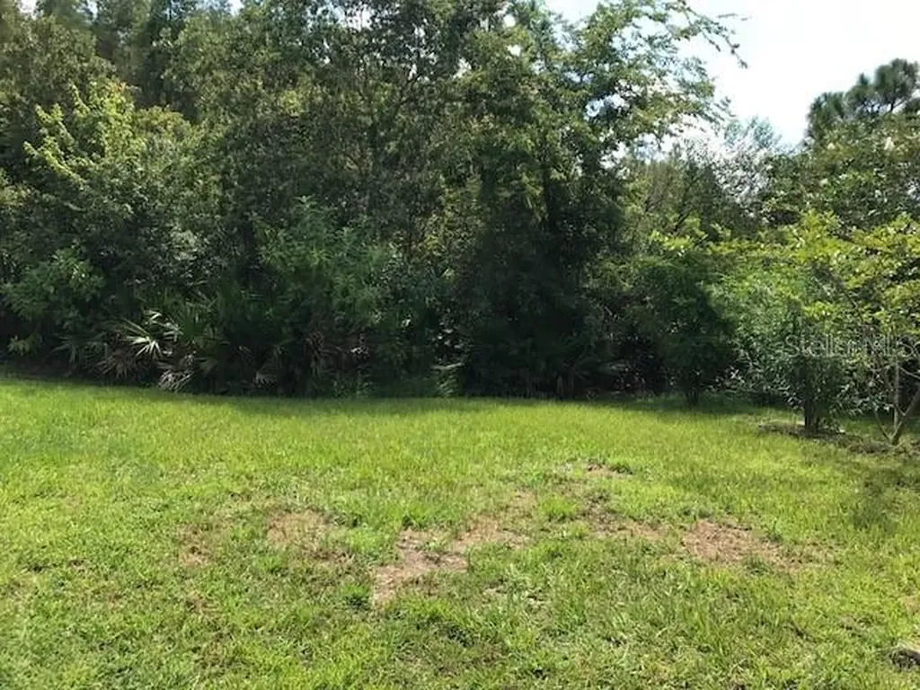 17911 Timber View Street Tampa FL 33647