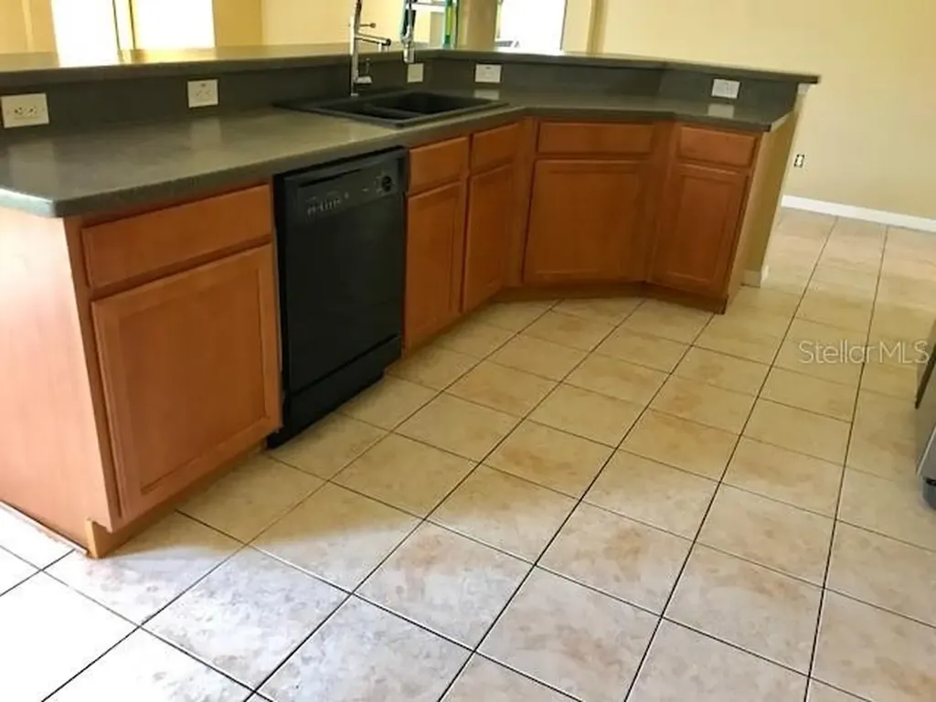 17911 Timber View Street Tampa FL 33647