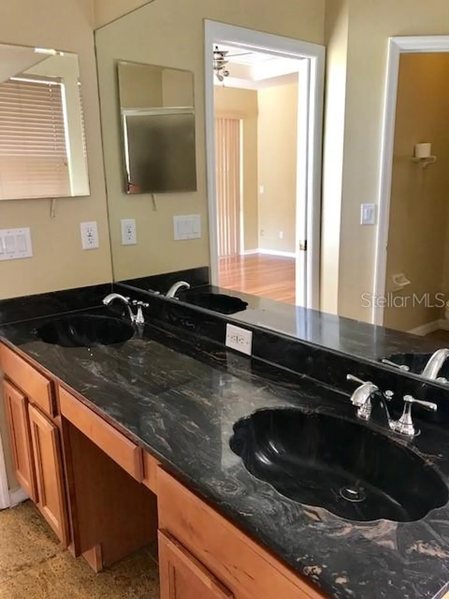 17911 Timber View Street Tampa FL 33647
