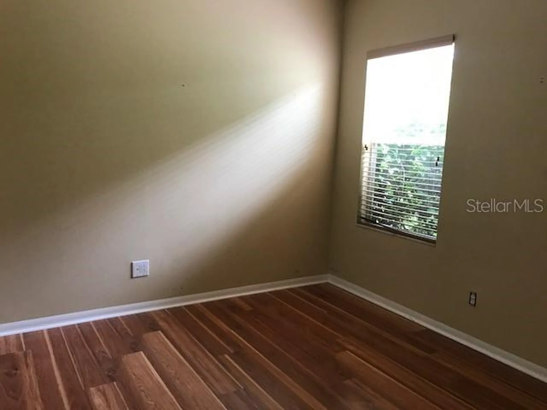 17911 Timber View Street Tampa FL 33647