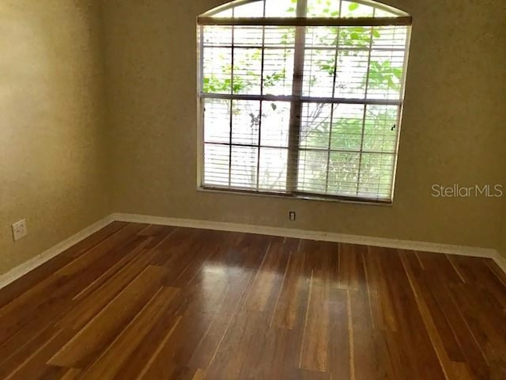 17911 Timber View Street Tampa FL 33647