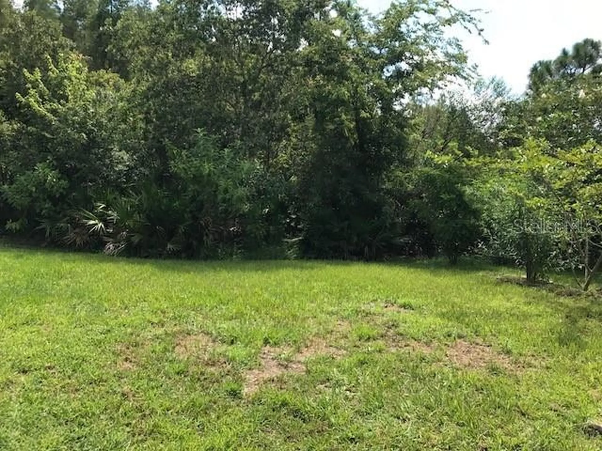 17911 Timber View Street Tampa FL 33647