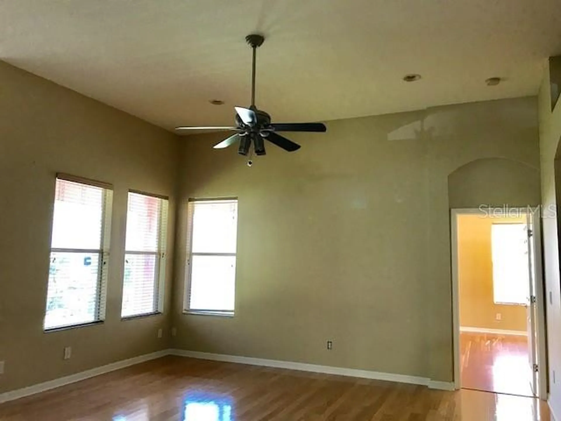 17911 Timber View Street Tampa FL 33647