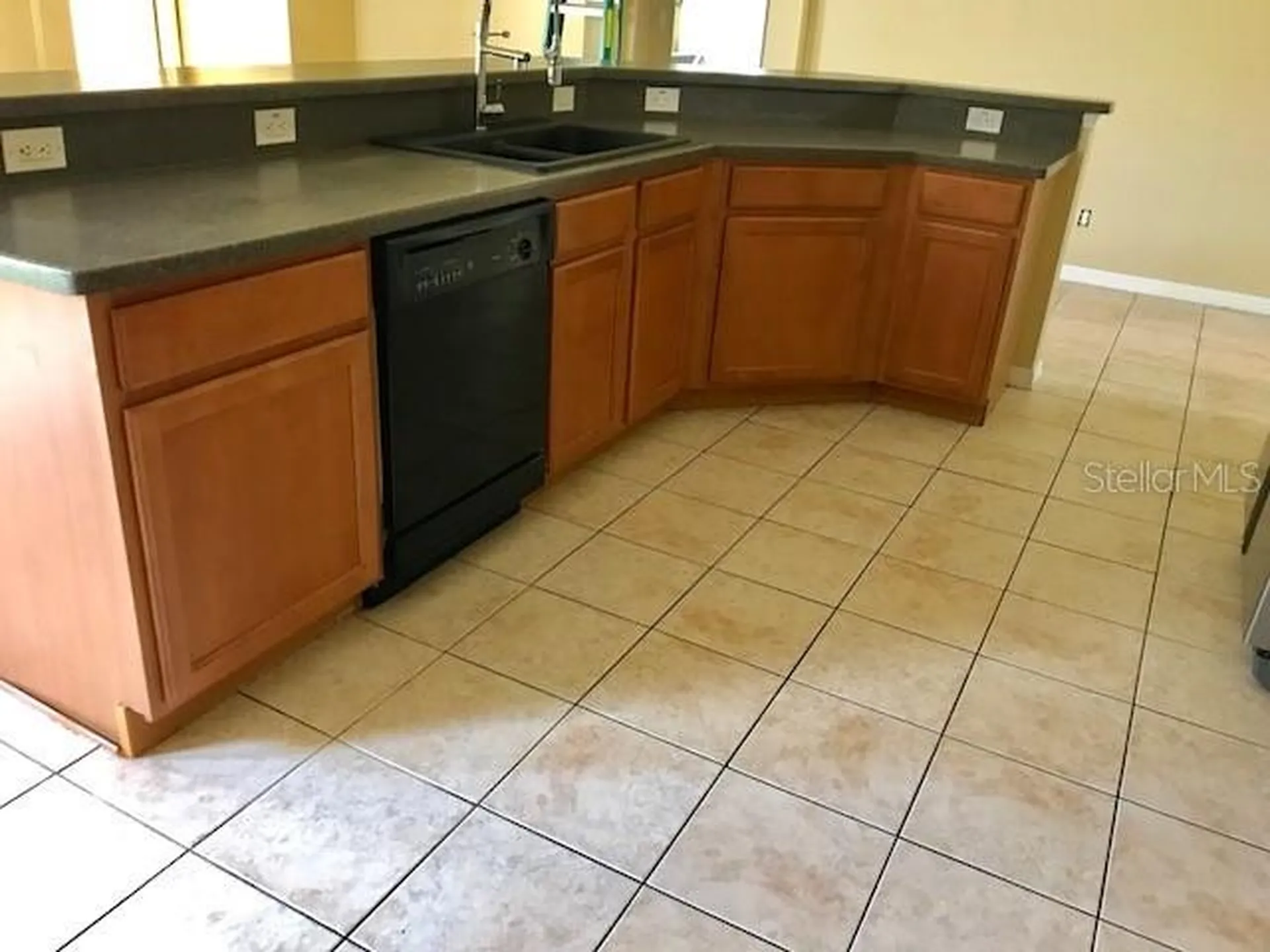 17911 Timber View Street Tampa FL 33647