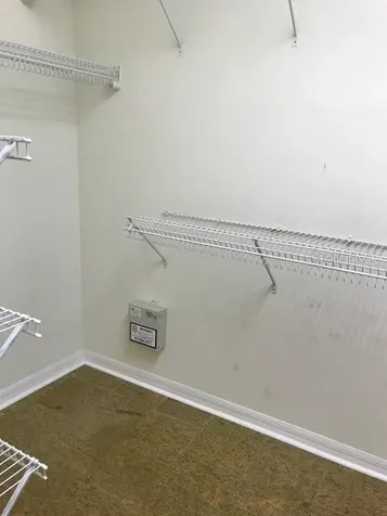 17911 Timber View Street Tampa FL 33647
