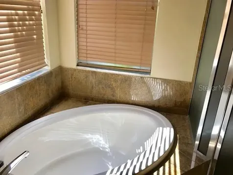 17911 Timber View Street Tampa FL 33647