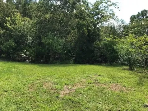 17911 Timber View Street Tampa FL 33647