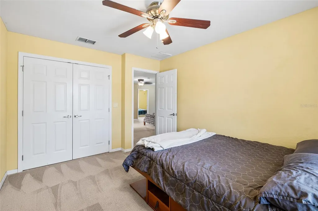 11114 Goldenrod Fern Drive Riverview FL 33569