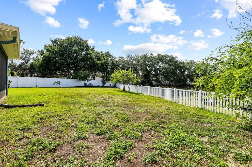11114 Goldenrod Fern Drive Riverview FL 33569