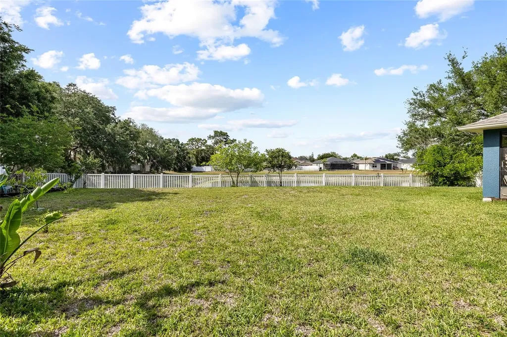 11114 Goldenrod Fern Drive Riverview FL 33569