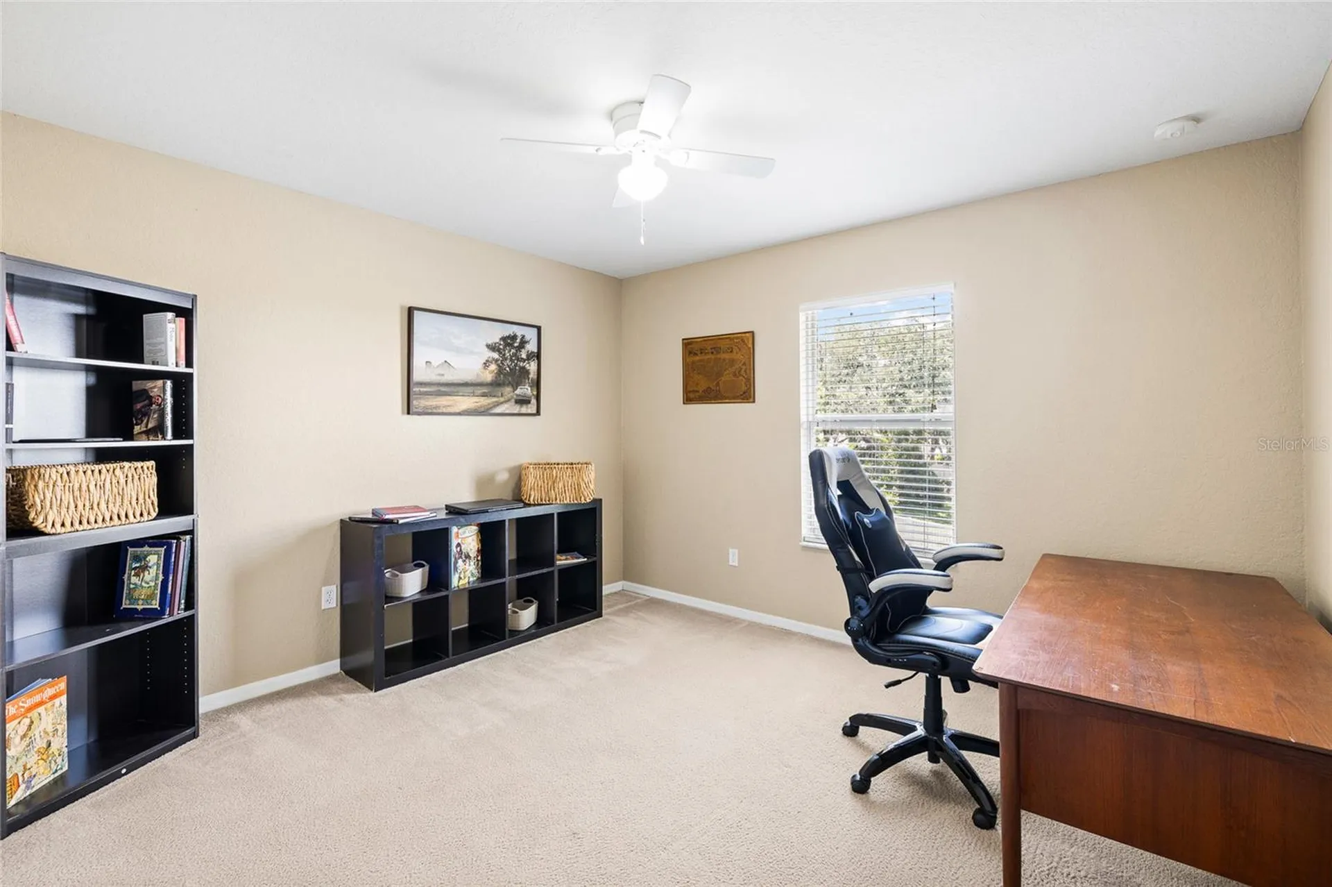 11114 Goldenrod Fern Drive Riverview FL 33569