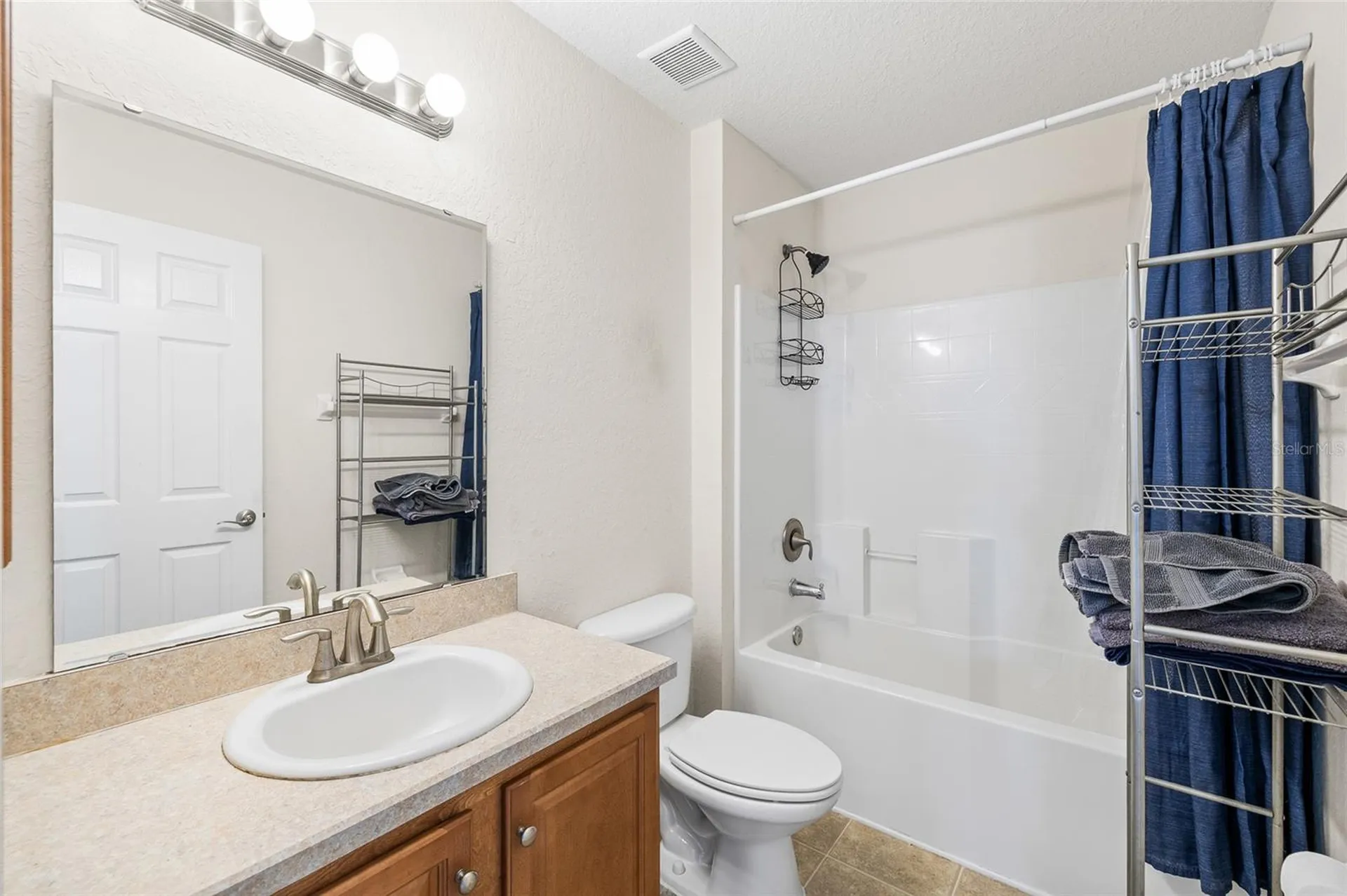 11114 Goldenrod Fern Drive Riverview FL 33569
