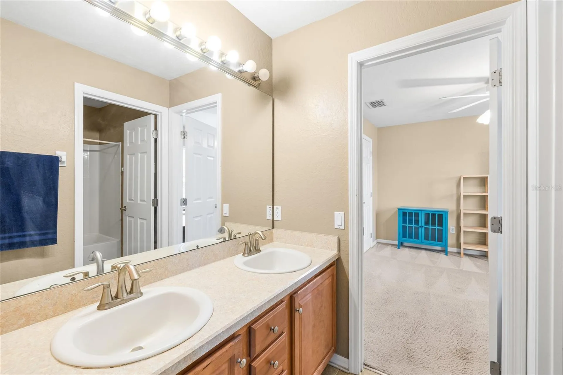 11114 Goldenrod Fern Drive Riverview FL 33569