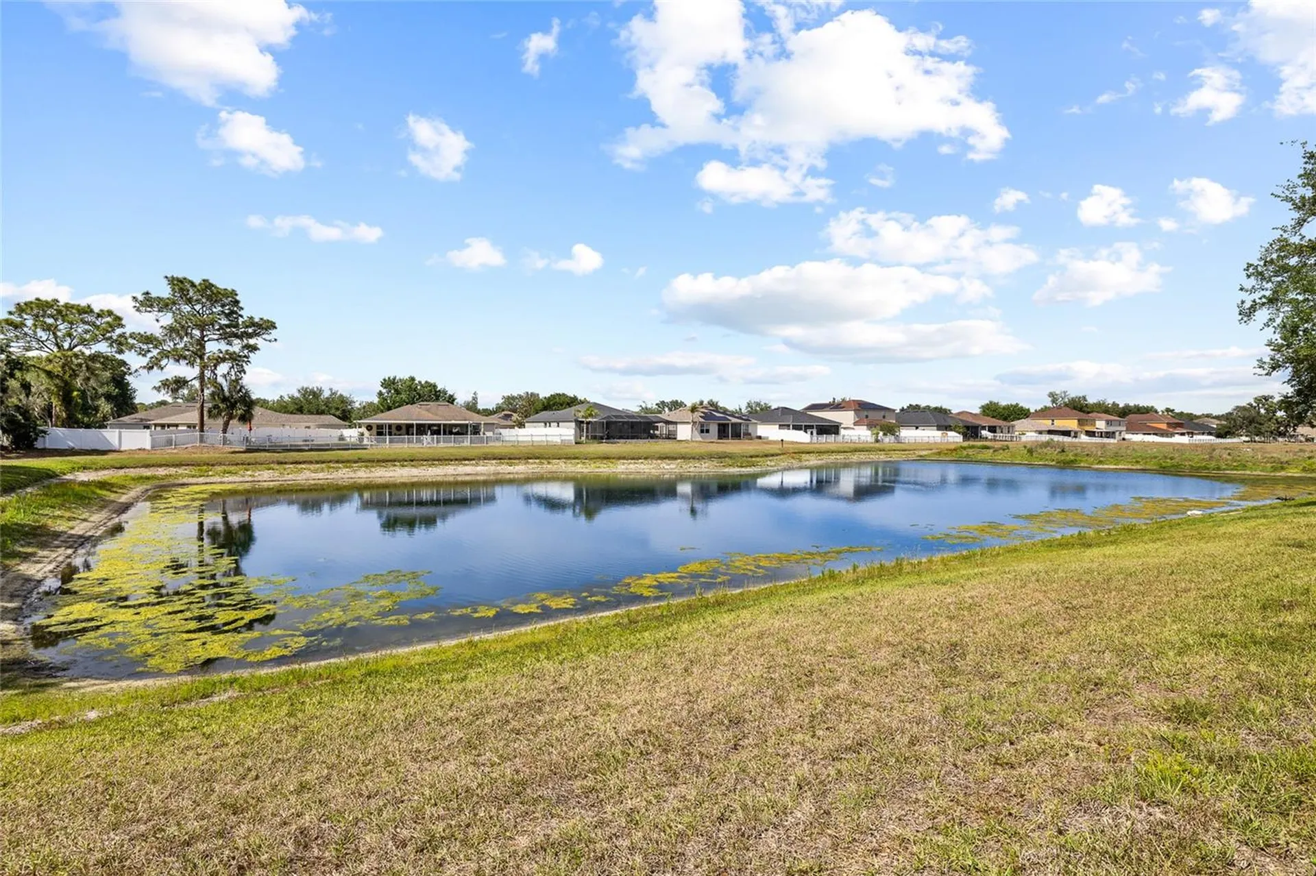 11114 Goldenrod Fern Drive Riverview FL 33569