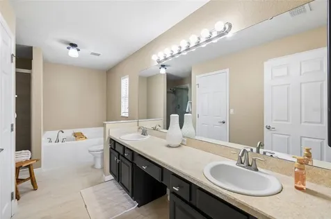 11114 Goldenrod Fern Drive Riverview FL 33569
