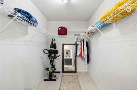 11114 Goldenrod Fern Drive Riverview FL 33569