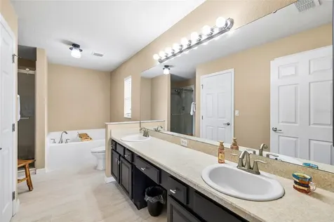 11114 Goldenrod Fern Drive Riverview FL 33569