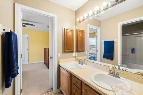 11114 Goldenrod Fern Drive Riverview FL 33569