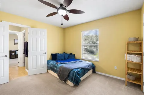 11114 Goldenrod Fern Drive Riverview FL 33569