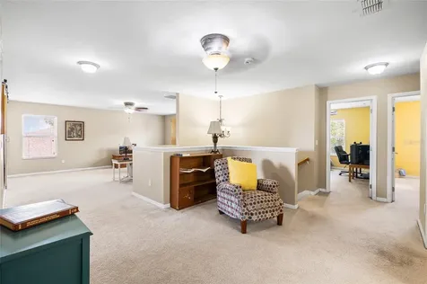 11114 Goldenrod Fern Drive Riverview FL 33569