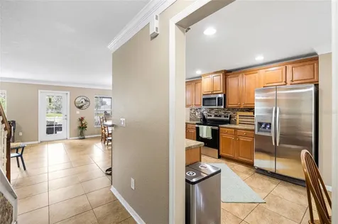 11114 Goldenrod Fern Drive Riverview FL 33569