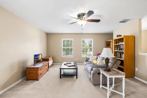 11114 Goldenrod Fern Drive Riverview FL 33569