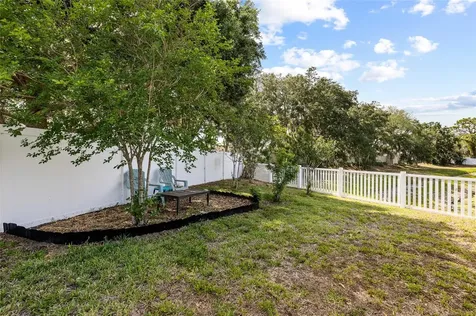 11114 Goldenrod Fern Drive Riverview FL 33569