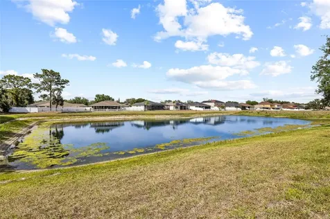 11114 Goldenrod Fern Drive Riverview FL 33569
