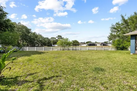 11114 Goldenrod Fern Drive Riverview FL 33569