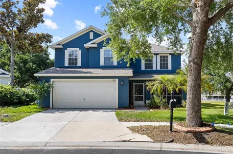 11114 Goldenrod Fern Drive Riverview FL 33569