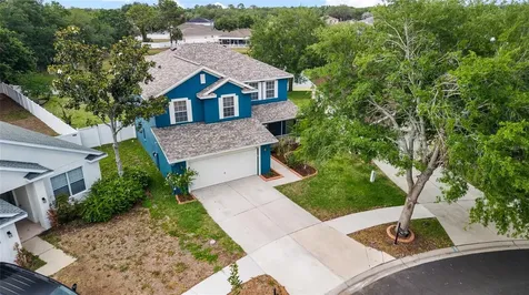 11114 Goldenrod Fern Drive Riverview FL 33569