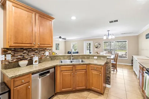 11114 Goldenrod Fern Drive Riverview FL 33569
