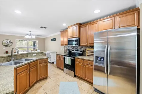 11114 Goldenrod Fern Drive Riverview FL 33569