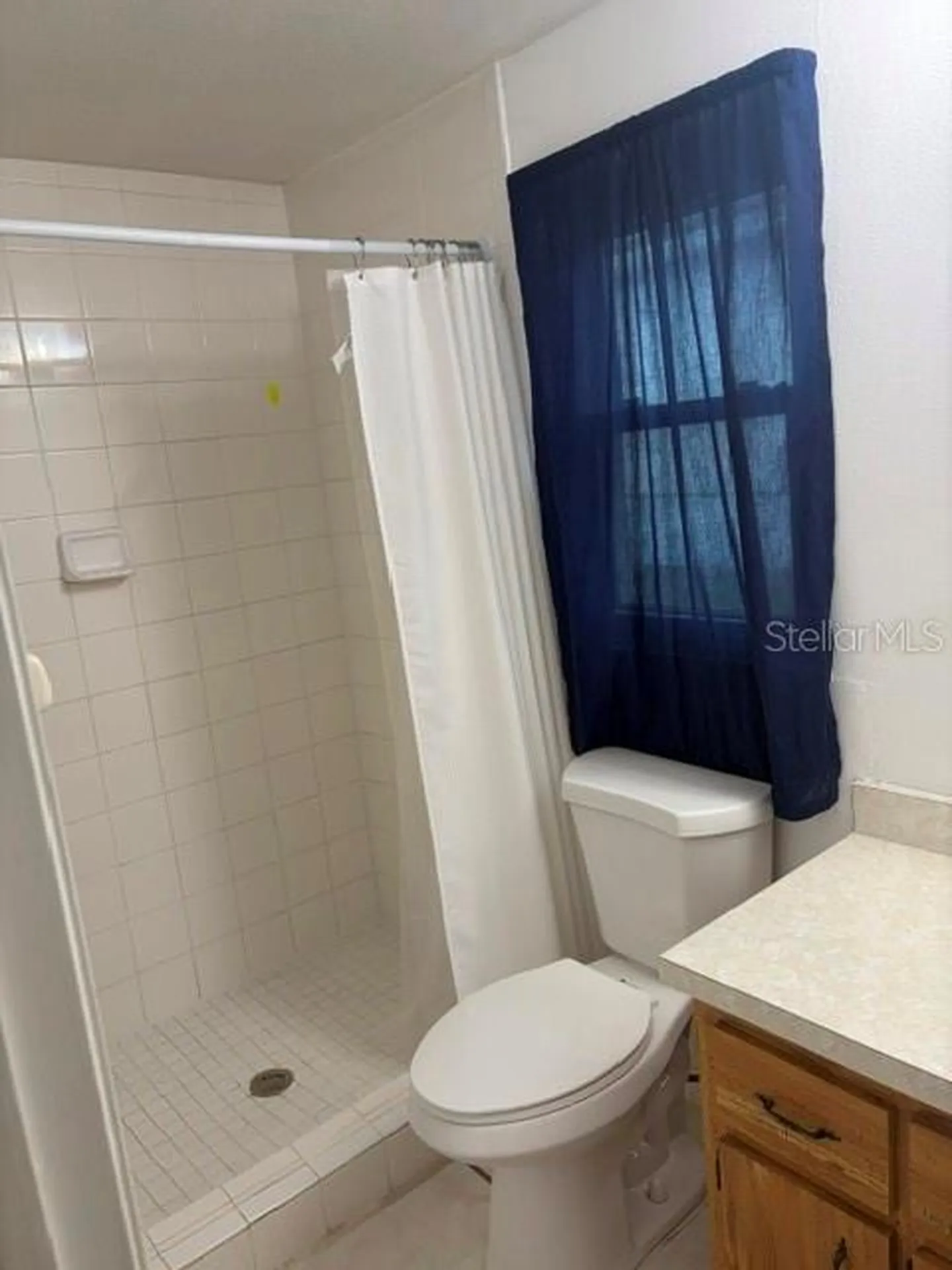 613 Bama Road Brandon FL 33511