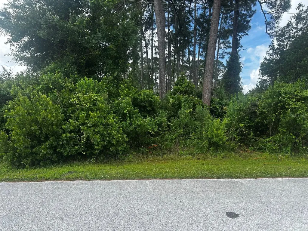 24 Bannerwood Lane Palm Coast FL 32137