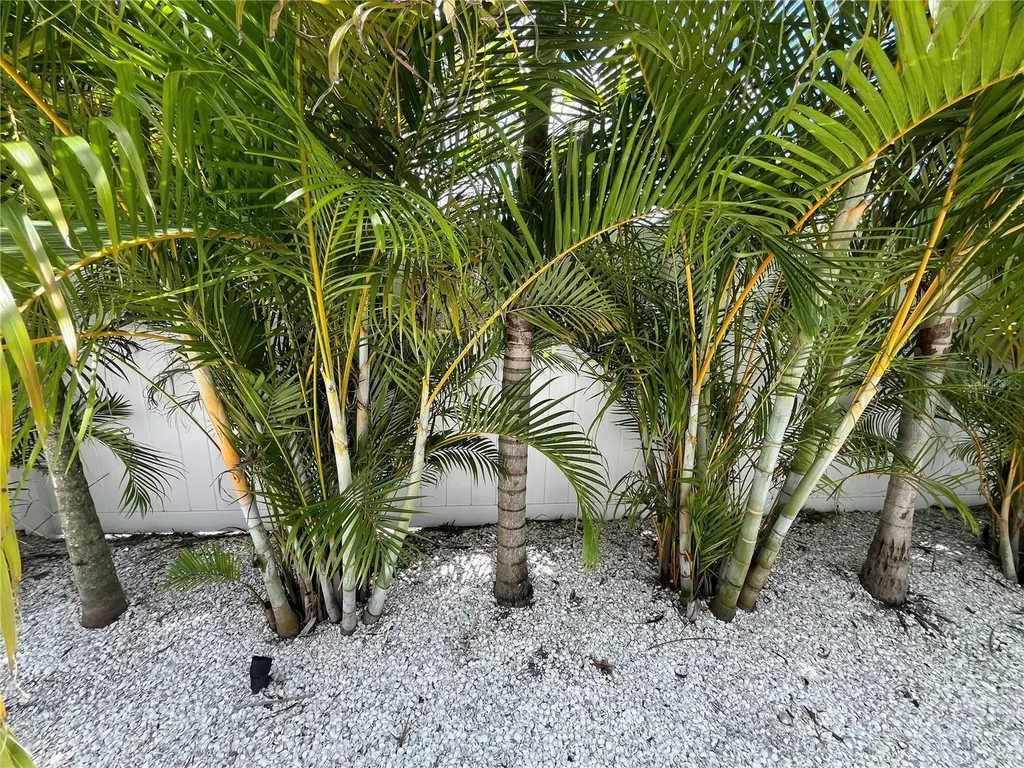 2532 Fruit Tree Drive Sarasota FL 34239