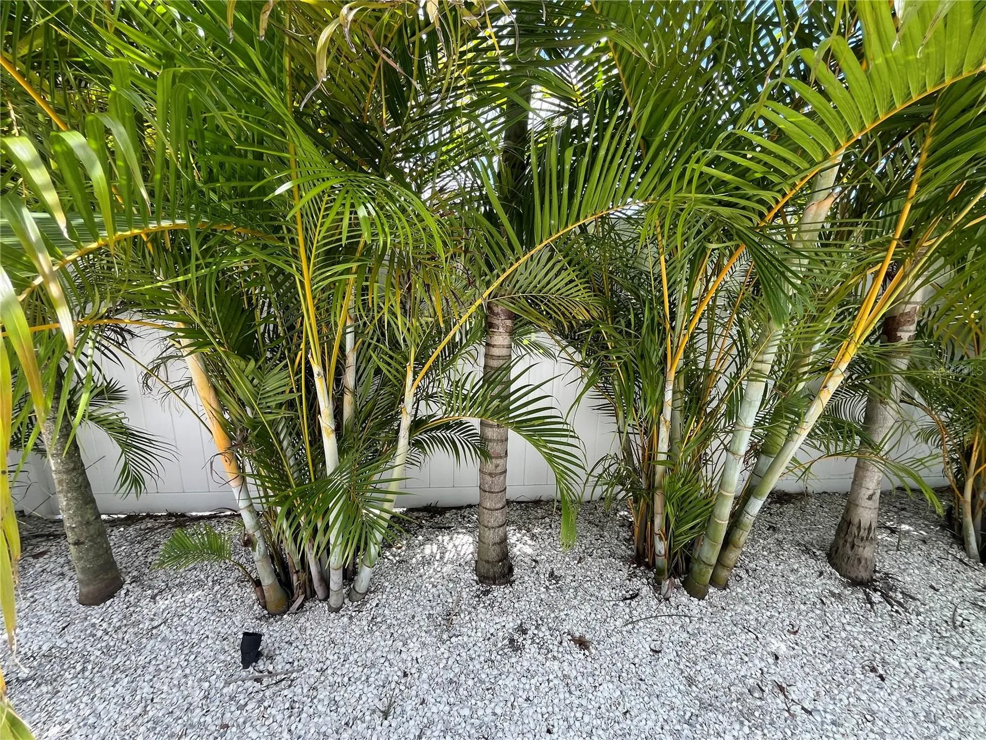 2532 Fruit Tree Drive Sarasota FL 34239