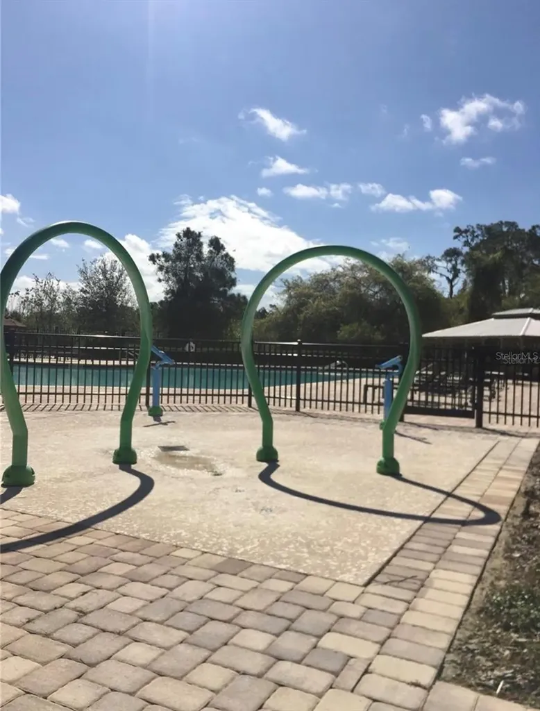 11807 Vermillion Avenue Windermere FL 34786