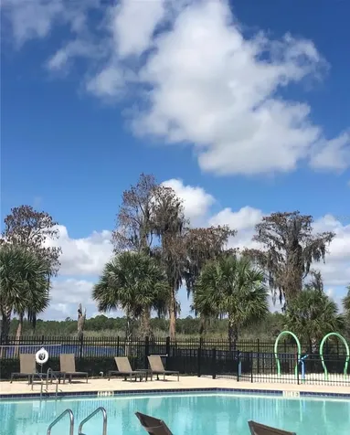 11807 Vermillion Avenue Windermere FL 34786